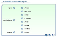 Nutrients and products of their digestion