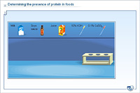 Determining the presence of protein in foods