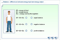 Balance – differences between energy input and energy output