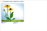 Transpiration and its significance to plants
