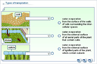 Types of transpiration