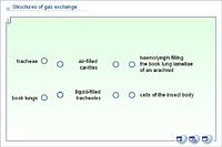 Structures of gas exchange