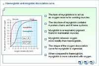 Haemoglobin and mioglobin dissociation curve