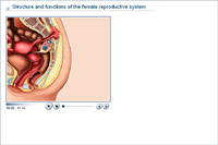 Structure and functions of the female reproductive system