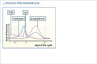 Hormones of the menstrual cycle