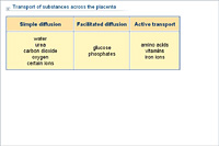 Transport of substances across the placenta