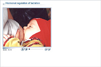 Hormonal regulation of lactation