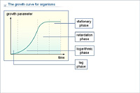 The growth curve for organisms
