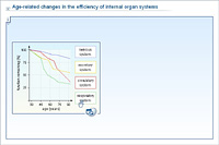 Age-related changes in the efficiency of internal organ systems