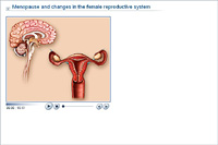 Menopause and changes in the female reproductive system