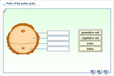 Parts and Pollen 