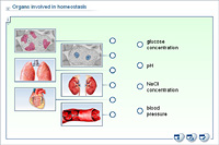 Organs involved in homeostasis