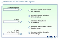 The hormones and their functions in the organism