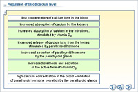 Regulation of blood calcium level