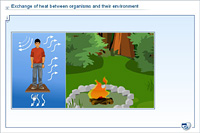 Exchange of heat between organisms and their environment