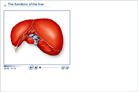 The functions of the liver