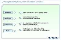 The regulation of of plasma protein concentration by the liver