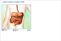 Entero-hepatic circulation of bile
