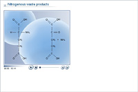 Nitrogenous waste products