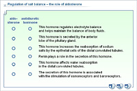 Regulation of salt balance – the role of aldosterone