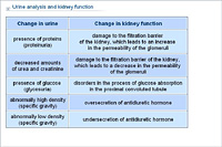 Urine analysis and kidney function