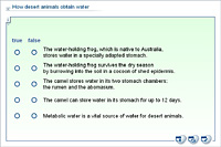 How desert animals obtain water