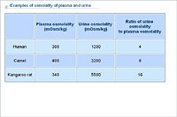 Examples of osmolality of plasma and urine