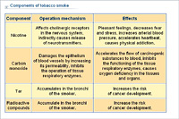 Components of tobacco smoke