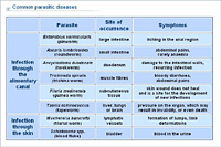 Common parasitic diseases