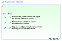 Pathogenic action of bacteria