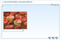 Characteristic features of parasitic infections