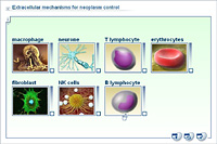 Extracellular mechanisms for neoplasm control
