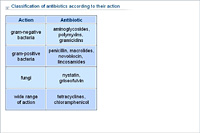 Classification of antibiotics according to their action
