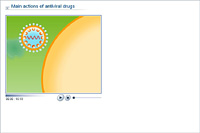 Main actions of antiviral drugs