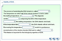 Stability of DNA