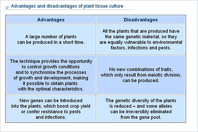 plant advantages disadvantages culture tissue cloning biology chart cell import resources secondary