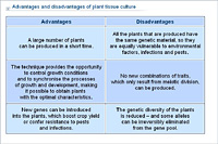 Advantages and disadvantages of plant tissue culture