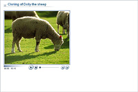 Cloning of Dolly the sheep