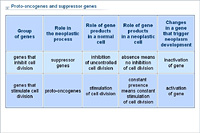 Proto-oncogenes and suppressor genes