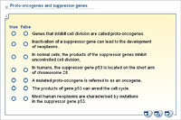Proto-oncogenes and suppressor genes
