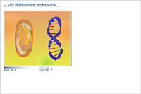 Use of plasmids in gene cloning