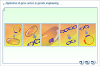 Application of gene vectors in genetic engineering