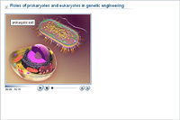 Roles of prokaryotes and eukaryotes in genetic engineering