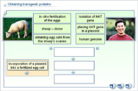 Obtaining transgenic proteins