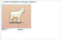 Creation and applications of transgenic organisms