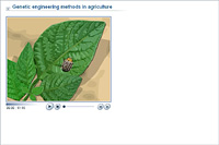 Genetic engineering methods in agriculture