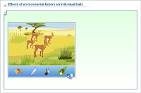 Effects of environmental factors on individual traits