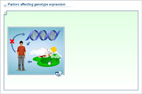 Factors affecting genotype expression