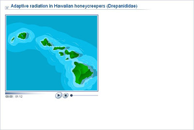 Biology - Upper Secondary - YDP - Animation - Adaptive radiation in  Hawaiian honeycreepers (Drepanididae)