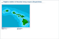 Adaptive radiation in Hawaiian honeycreepers (Drepanididae)